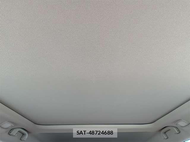 Nissan X-TRAIL HYBRID 2020-11 8686998-11