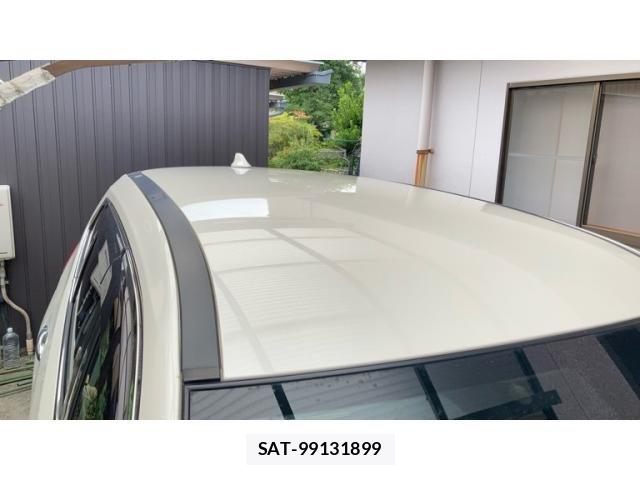 Nissan X-TRAIL HYBRID 2019-03 8687000-26