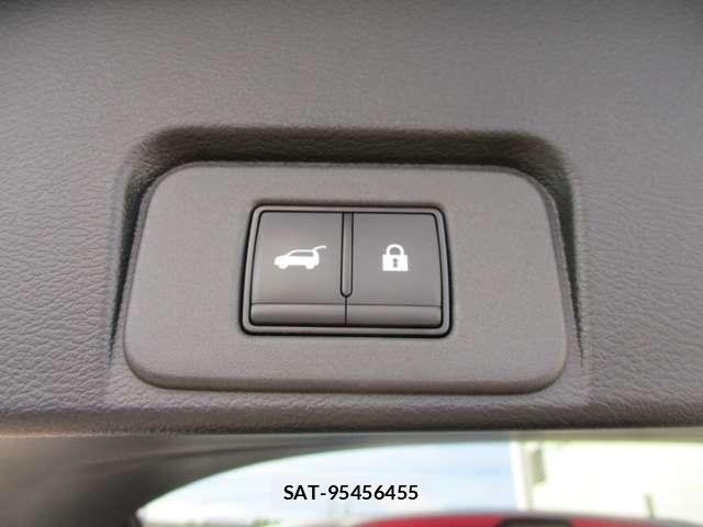 Nissan X-TRAIL HYBRID 2025-01 8747063-12