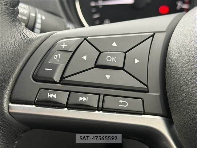 Nissan X-TRAIL HYBRID 2018-01 8883129-12