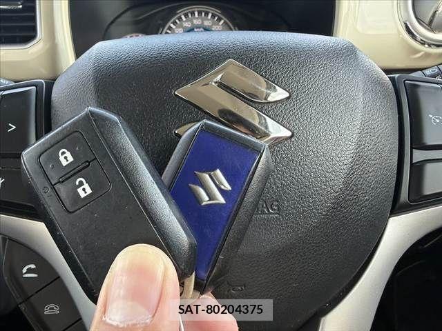 Suzuki X BEE 2018-06 7331403-6