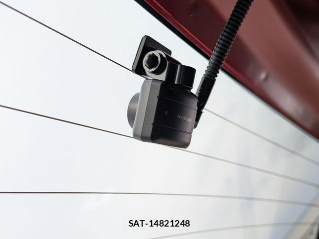 Suzuki X BEE 2024-09 7459006-3