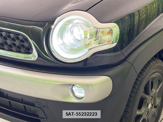 Suzuki X BEE 2021-02 7730984-11