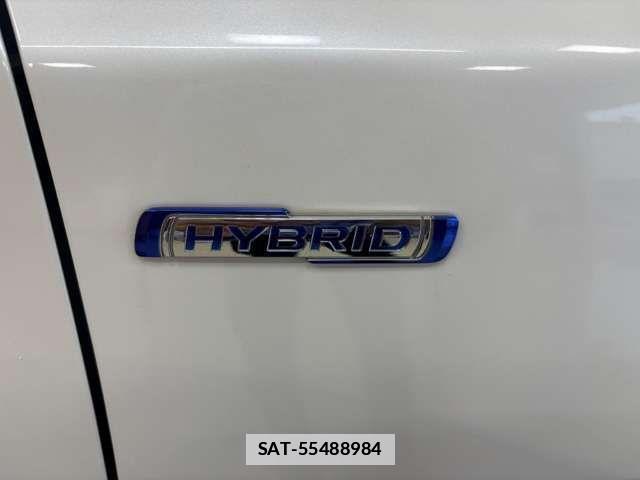 Suzuki X BEE 2018-07 7981645-16
