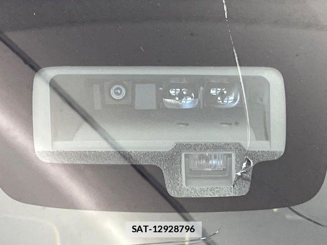 Suzuki X BEE 2019-02 7981646-3