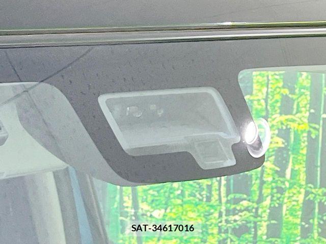 Suzuki X BEE 2019-06 8747005-3