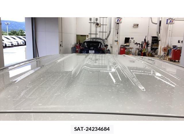 Suzuki X BEE 2023-04 8747009-3