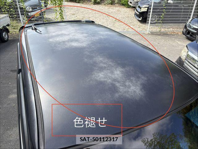Honda ZEST SPARK 2009-08 8851224-10