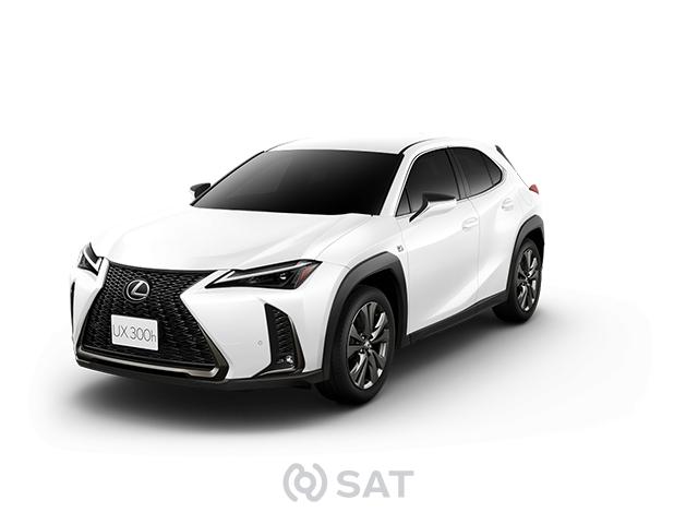 sat car