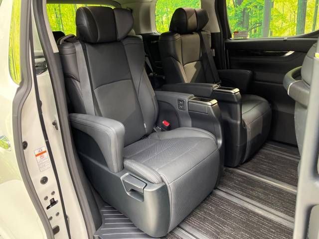 Toyota ALPHARD 2021-06 180314-9