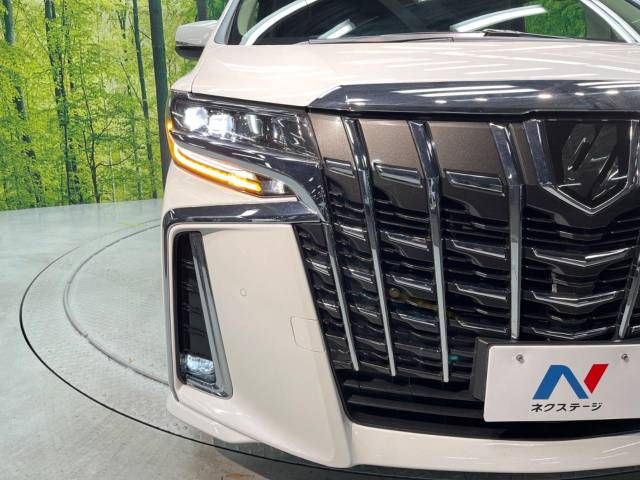 Toyota ALPHARD 2021-06 180314-13