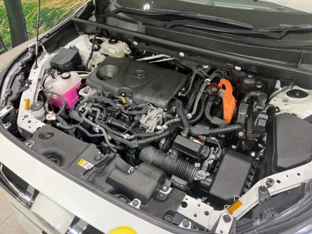 Toyota RAV4 2019-07 180363-18