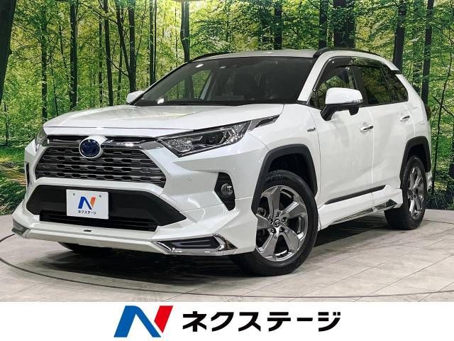 Toyota RAV4 2019-07 180363-0