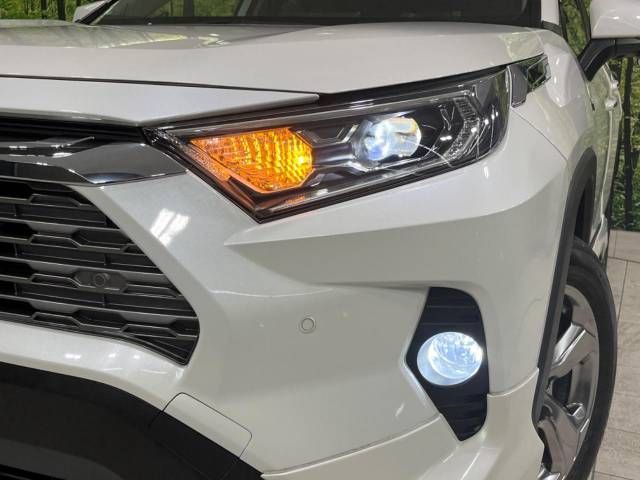 Toyota RAV4 2019-07 180363-12