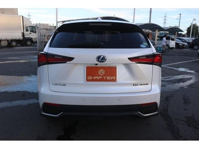 Lexus NX 2018-06 6832-3