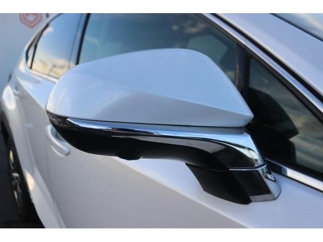Lexus NX 2018-06 6832-6