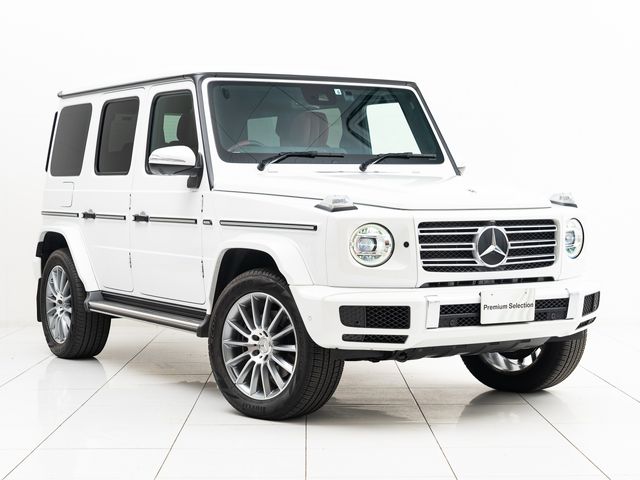 Mercedes Benz G-CLASS 2022-05 16256-14