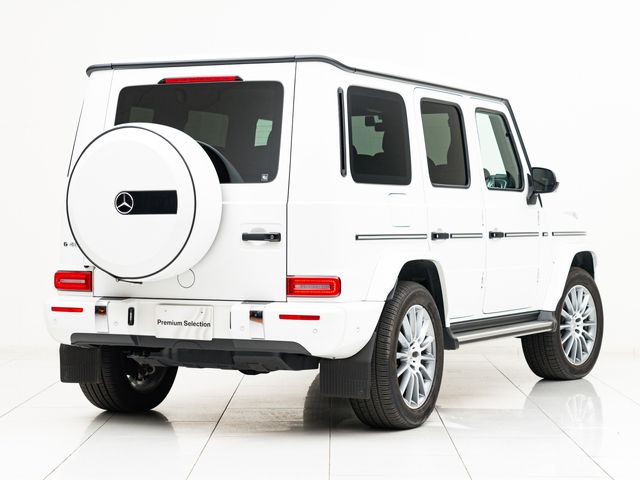 Mercedes Benz G-CLASS 2022-05 16256-9