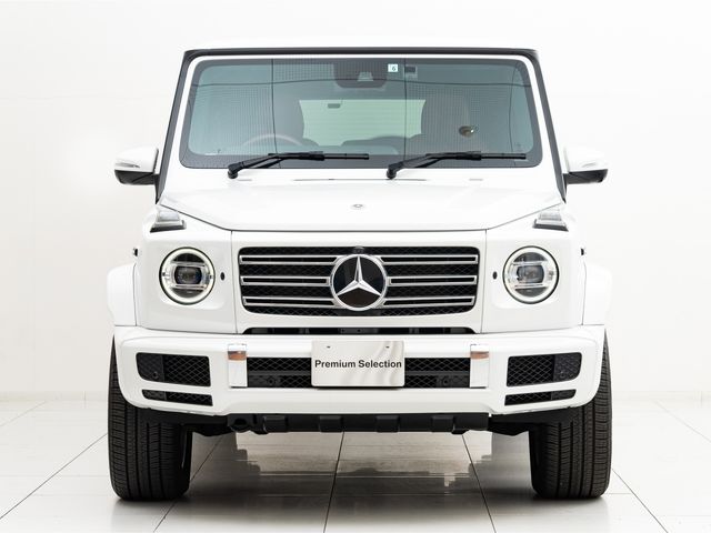 Mercedes Benz G-CLASS 2022-05 16256-4
