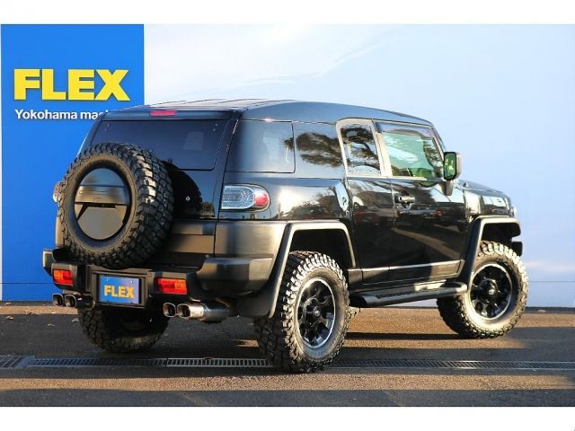 Toyota FJ CRUISER 2013-06 193490-1