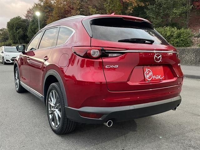 Mazda CX-8 2019-03 28637-6
