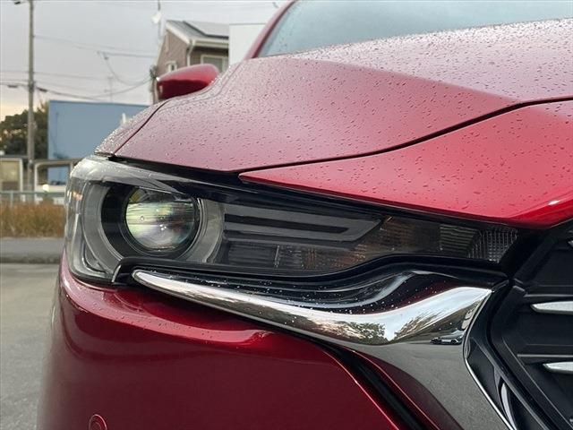 Mazda CX-8 2019-03 28637-9