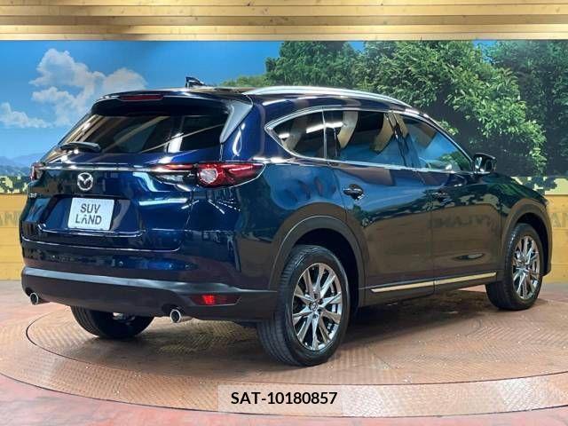 Mazda CX-8 2019-01 332194-17