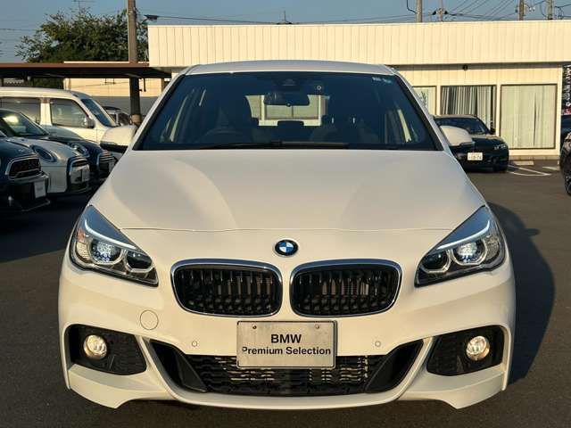 Bmw 2 SERIES 2017-06 11934-4