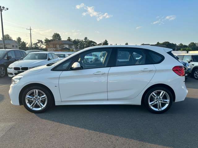 Bmw 2 SERIES 2017-06 11934-3