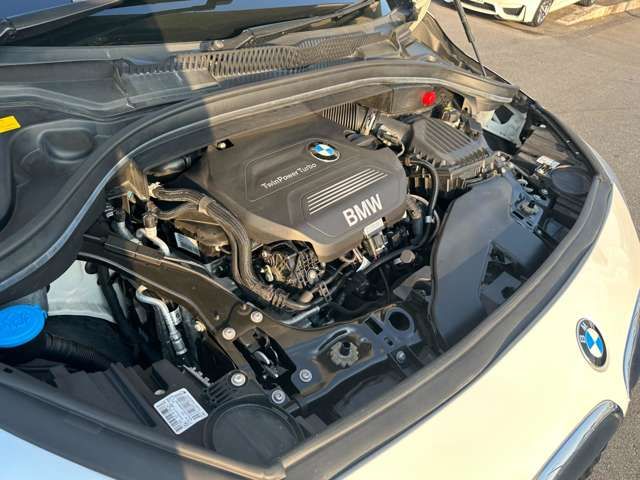 Bmw 2 SERIES 2017-06 11934-6