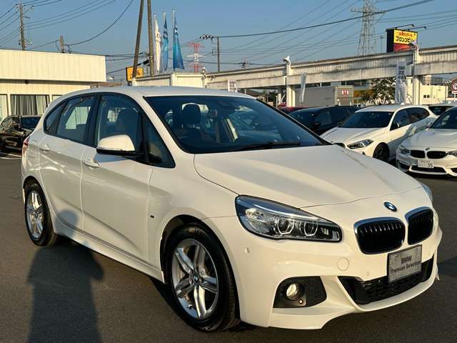 Bmw 2 SERIES 2017-06 11934-5