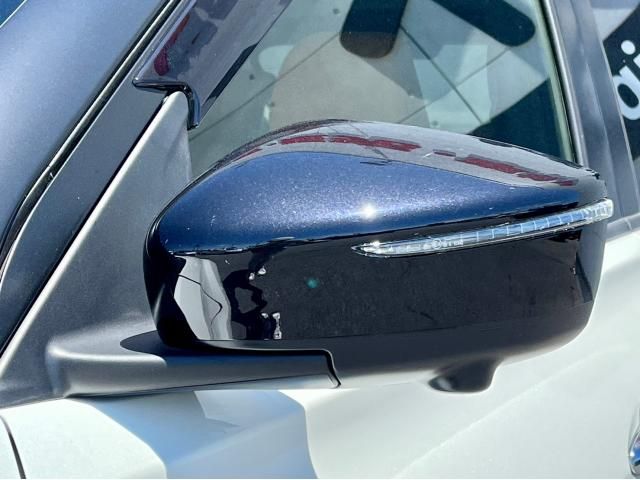 Nissan KICKS 2021-04 185037-5