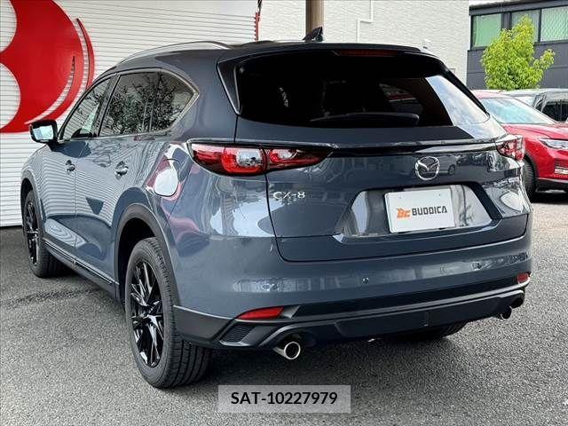 Mazda CX-8 2023-12 266240-11