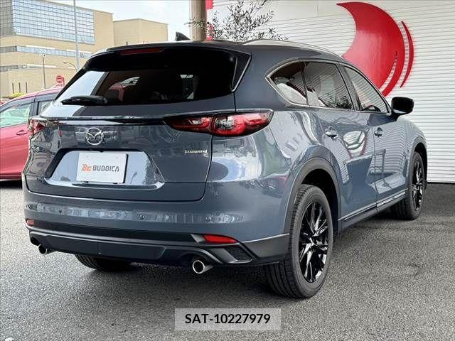Mazda CX-8 2023-12 266240-9