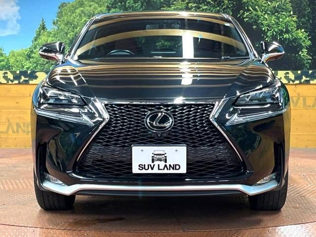 Lexus NX 2016-09 9705-14