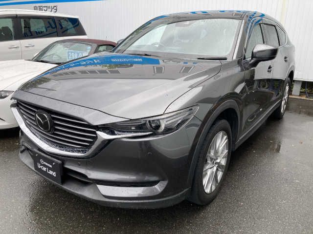Mazda CX-8 2018-09 6370-4