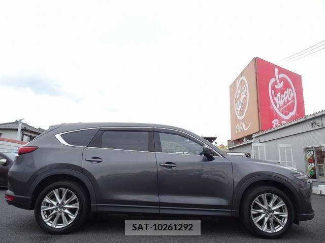 Mazda CX-8 2018-01 331071-4