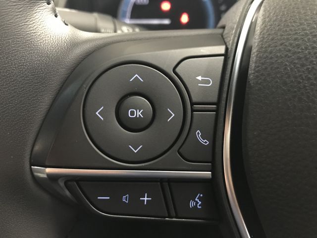 Toyota CROWN SEDAN 2021-08 8934-15
