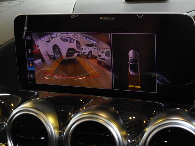 Amg GT 2019-10 1569-10