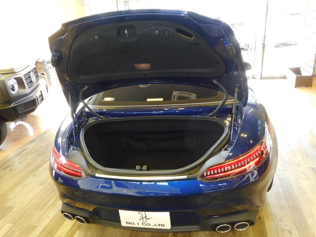 Amg GT 2019-10 1569-26
