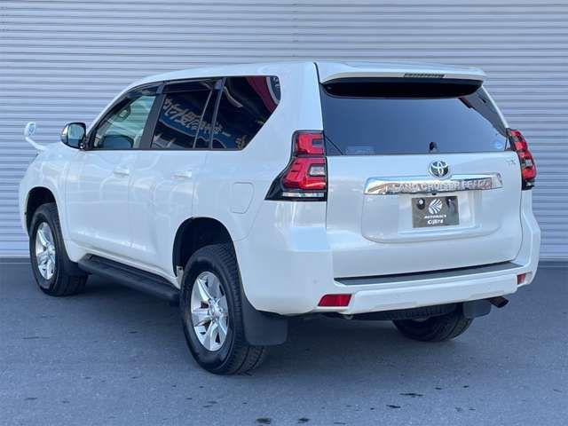 Toyota PRADO 2019-03 193721-16