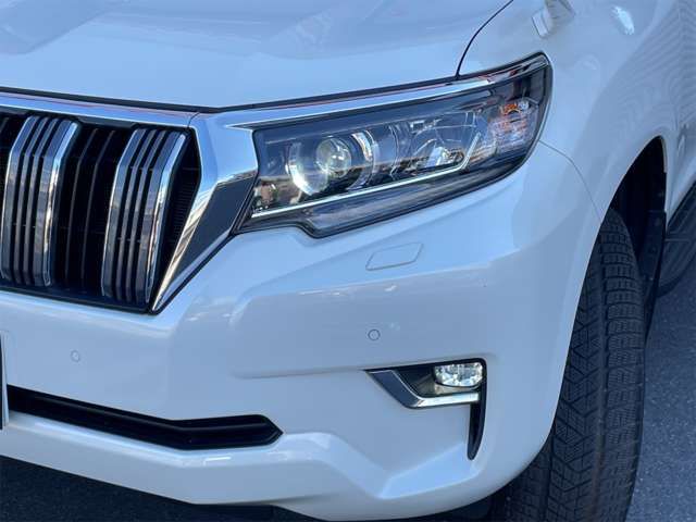 Toyota PRADO 2019-03 193721-9