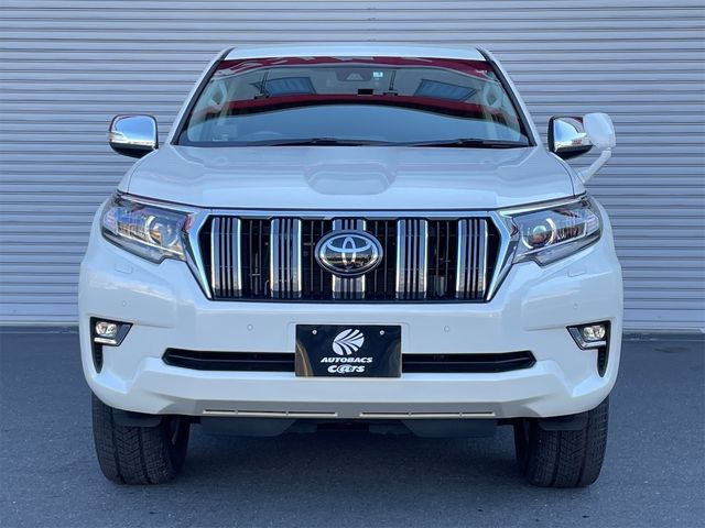 Toyota PRADO 2019-03 193721-17