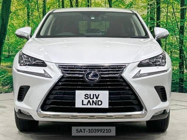 Lexus NX 2020-06 326617-14