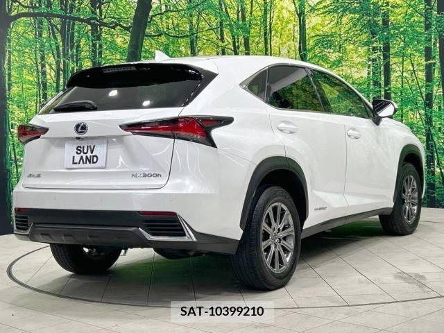 Lexus NX 2020-06 326617-17