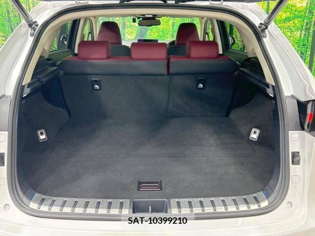 Lexus NX 2020-06 326617-10