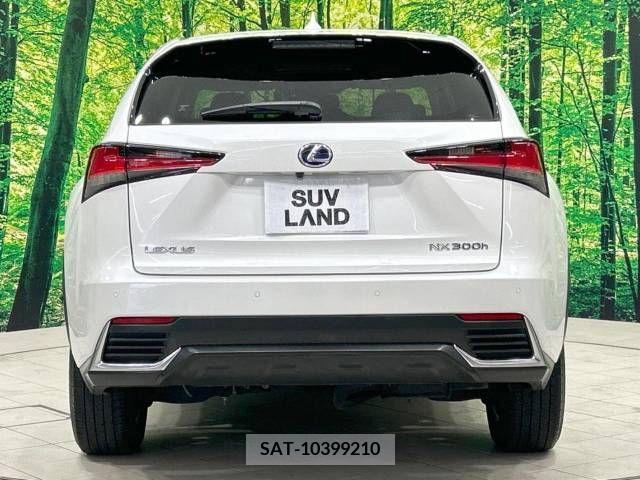 Lexus NX 2020-06 326617-15