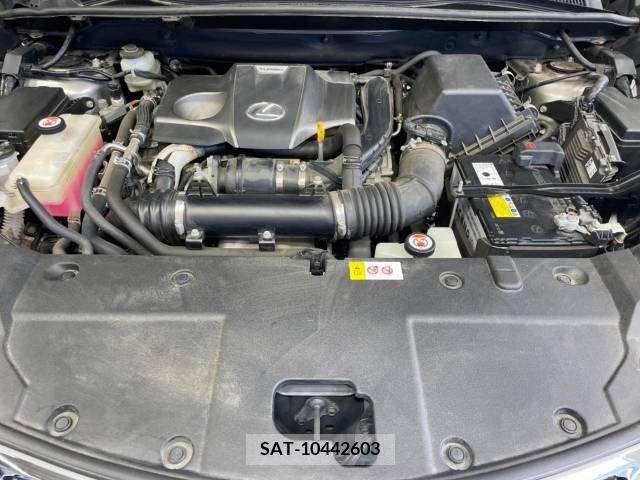 Lexus NX 2017-05 275610-18