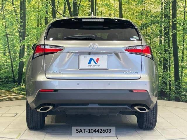Lexus NX 2017-05 275610-15
