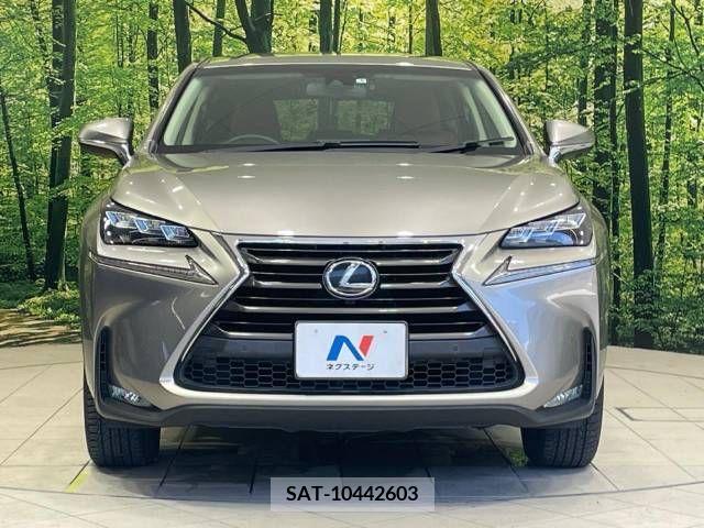 Lexus NX 2017-05 275610-14